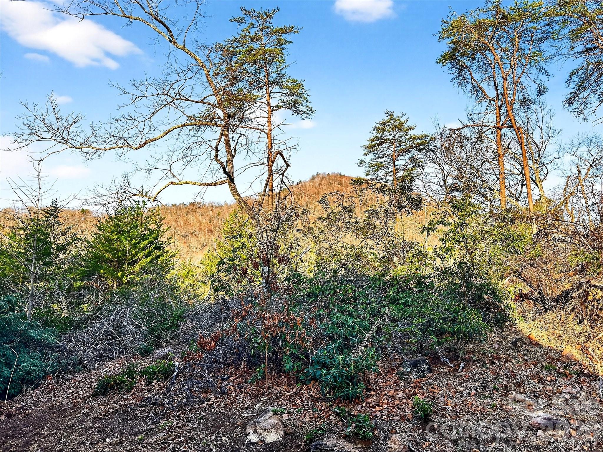 Pinnacle Ridge - Residential