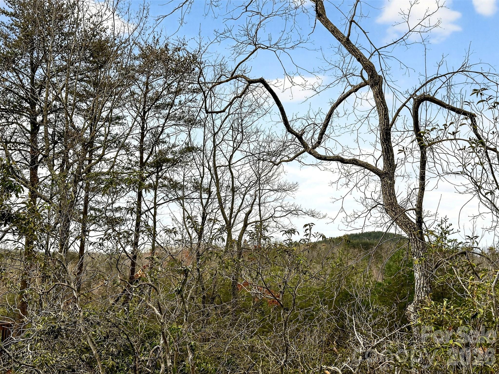 Pinnacle Ridge - Residential