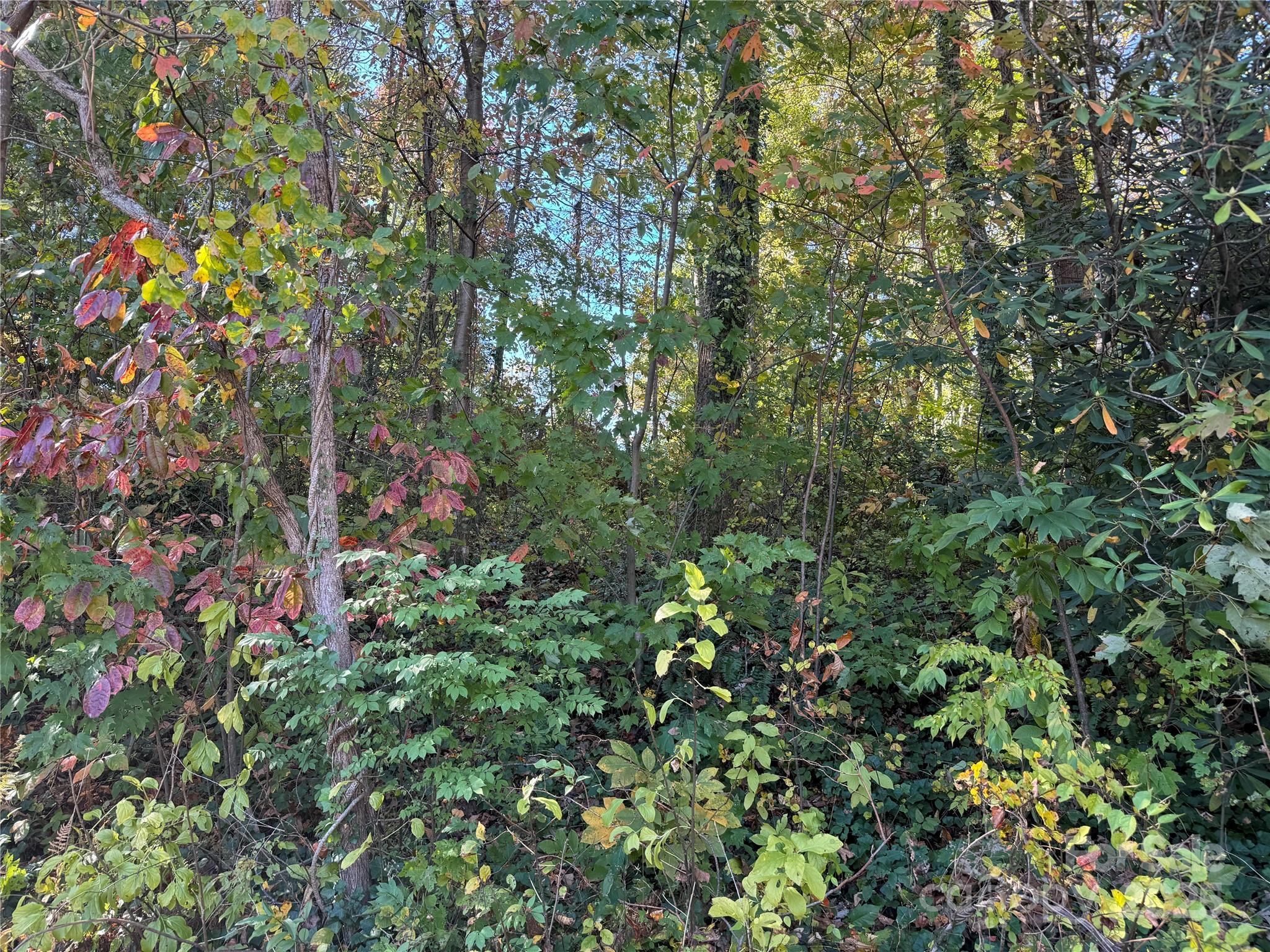 00 Upper Ridgewood Boulevard