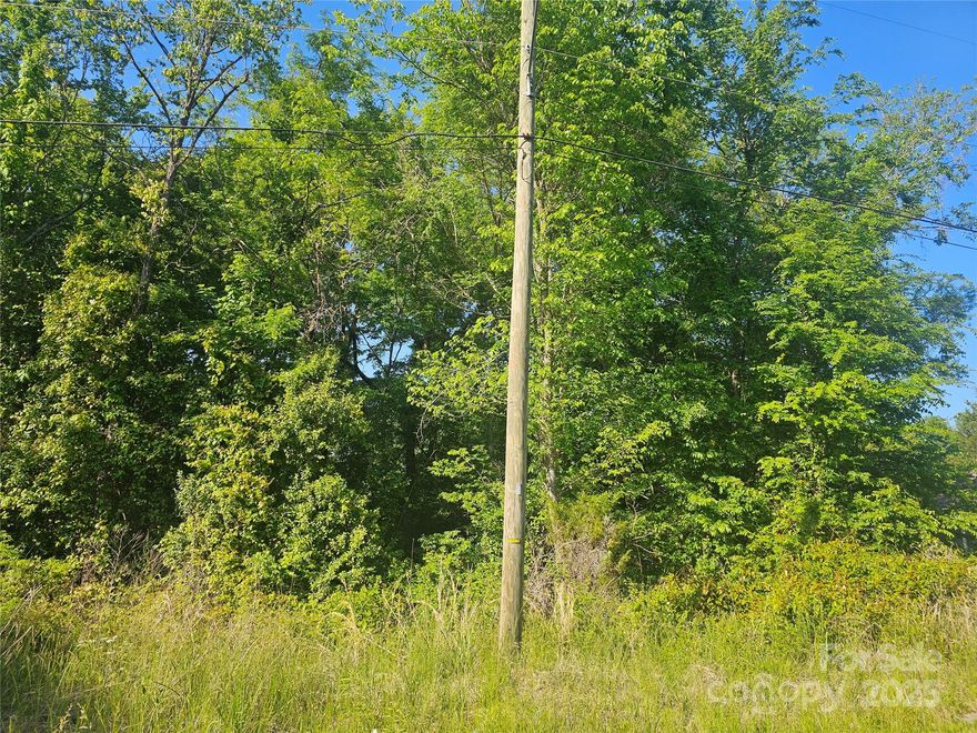 Great building lot. 2 Lots .11 acres each. Waiting to be transformed into a future homesite.