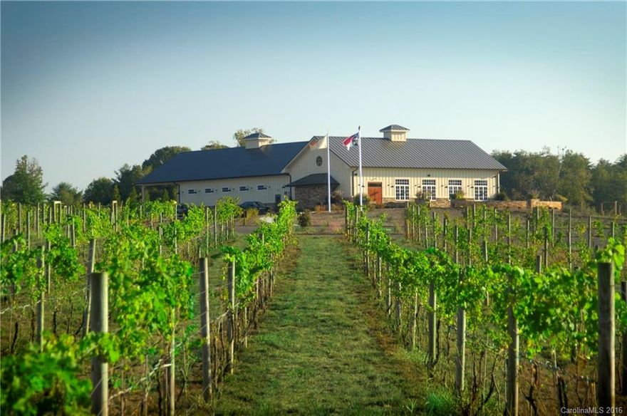 CONTRACT FELL THROUGH. HUGE PRICE REDUCTION. GREAT OPPORTUNITY IN THIS ASSET SALE. Owl's Eye Vineyard is a turn-key operation with winery, tasting room, cold storage facility, hybrid grapes. The vineyard produces varietal and blended wines recognized at local, state & national competitions. Operation includes professional kitchen suitable for catering weddings and corporate events. City water/sewer. Room for future development.  Just 40 miles from Charlotte Airport and 33 miles from TIEC.