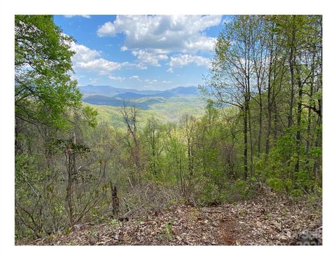 1029 Kestrel Lane T-72 Black Mountain NC 28711