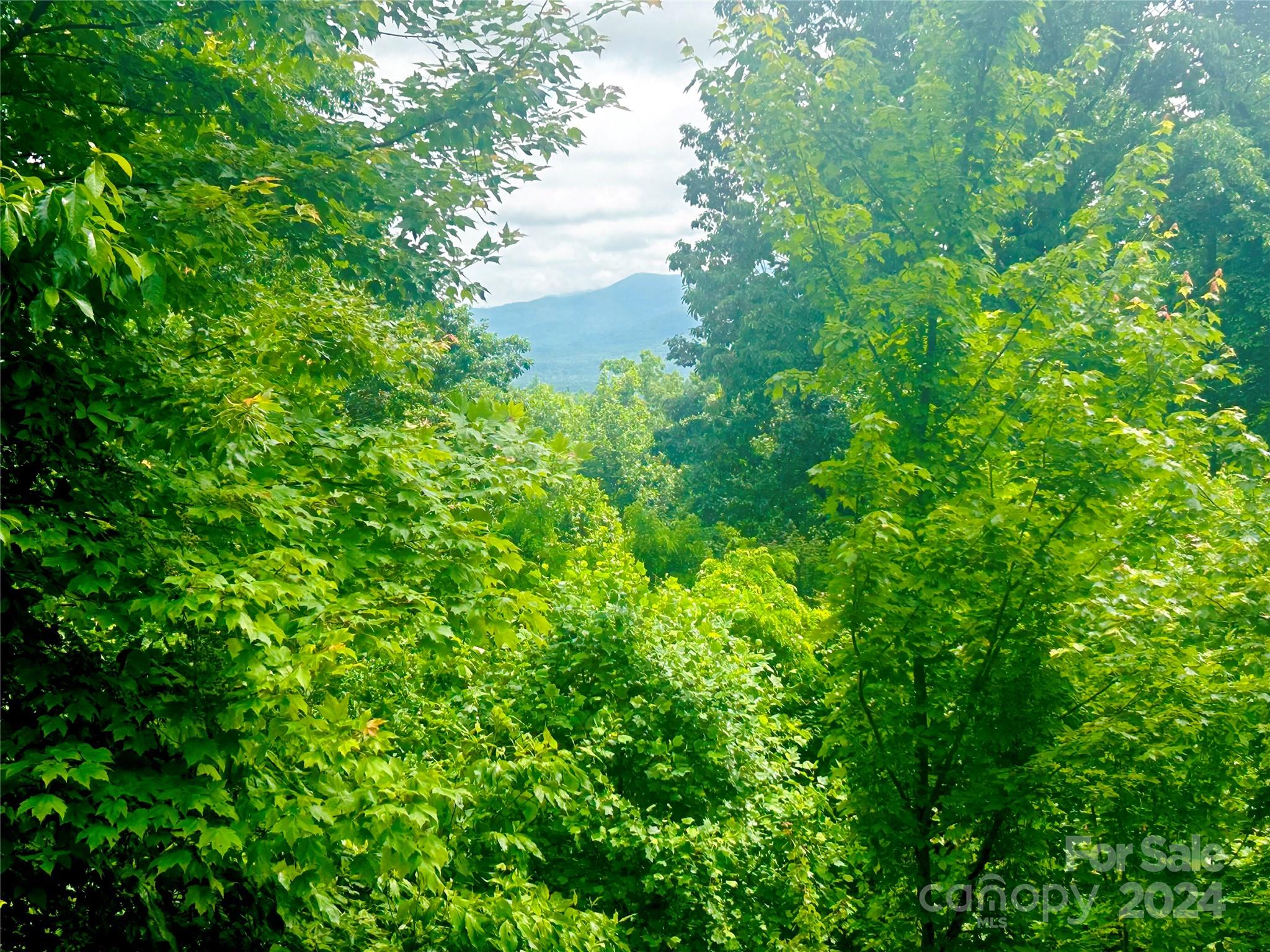 Grandview Peaks - Land