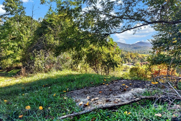 1685 ARBUCKLE RD, BURNSVILLE, NC 28714 - Image b78d35efd2d60e87ace529ca2788bb10/3095407256