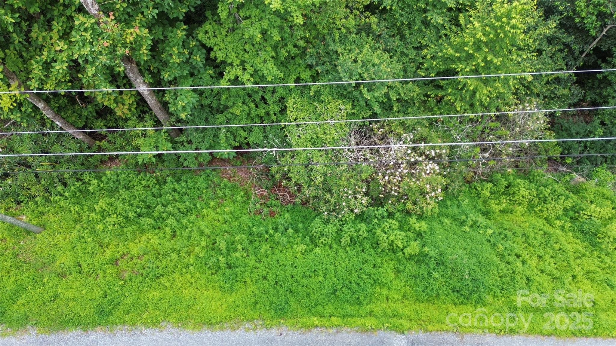 TBD Forest Lane