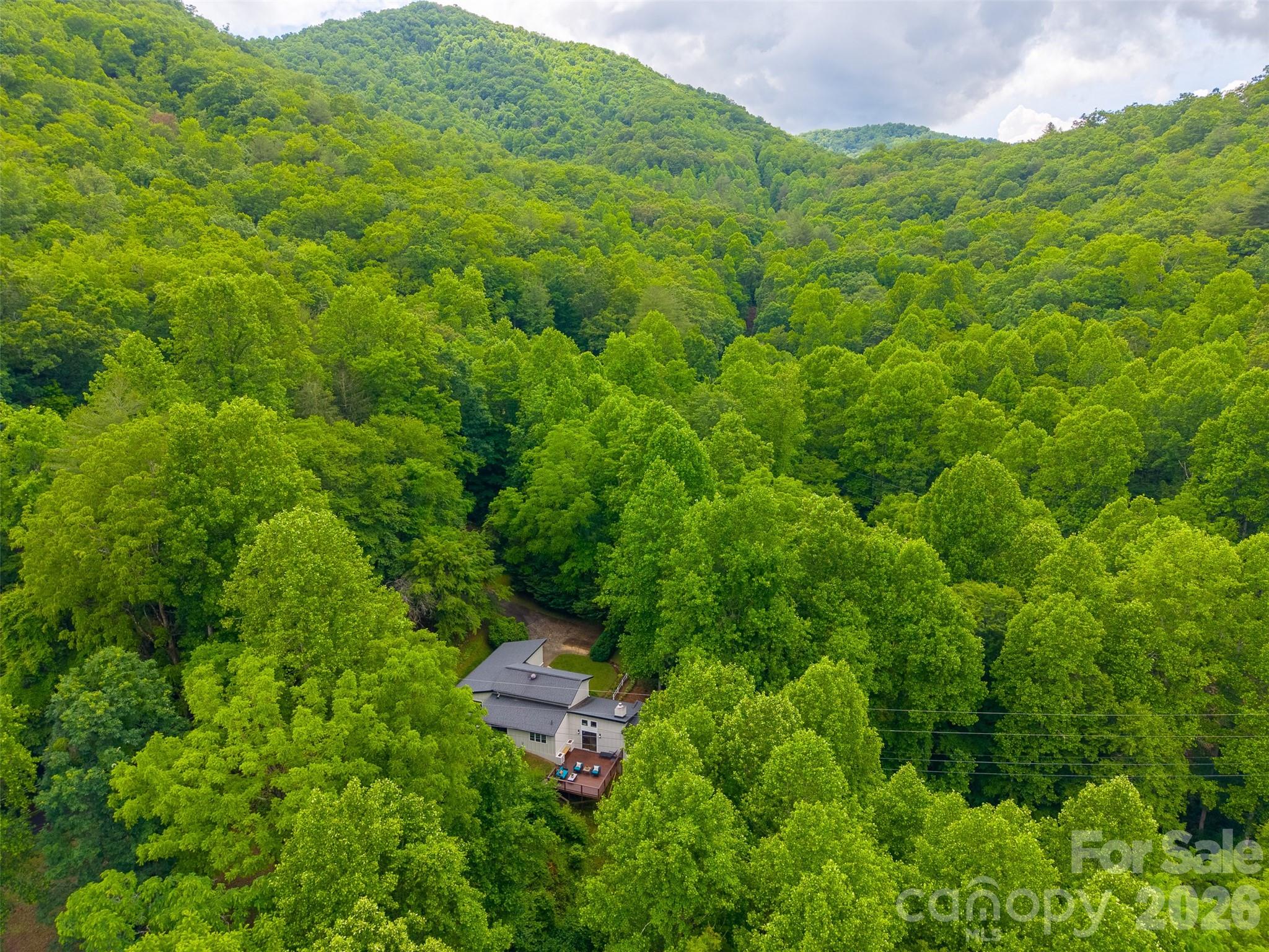 The Village of Forest Hills - Residential