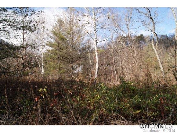 River Ranch Village - Land