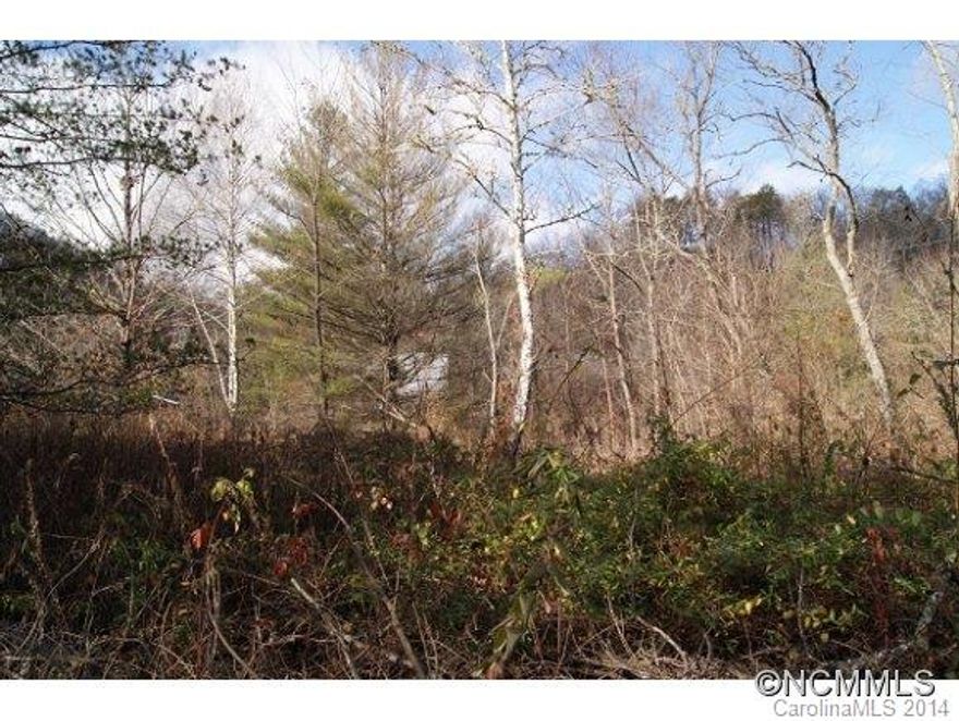 This property is as flat as it gets with a river view. There is an easement to the river from this lot. The septic tank and lines area all ready installed.