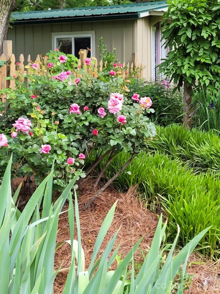 Haw Creek - Residential