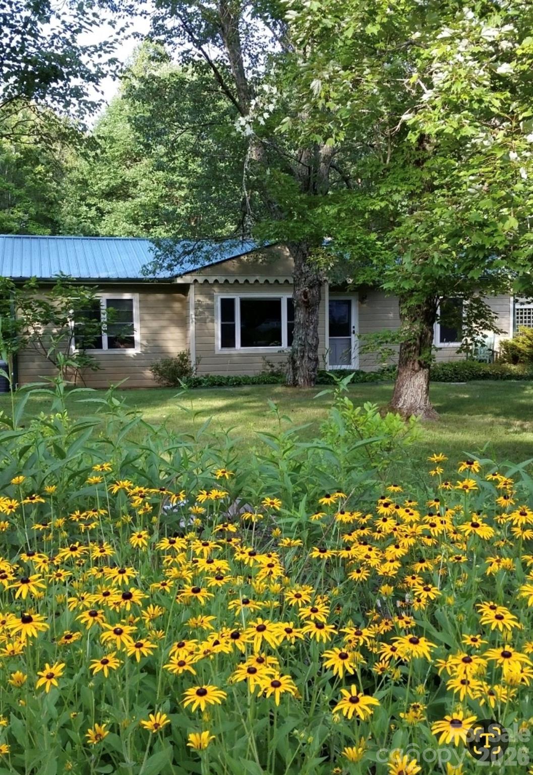 Haw Creek - Residential