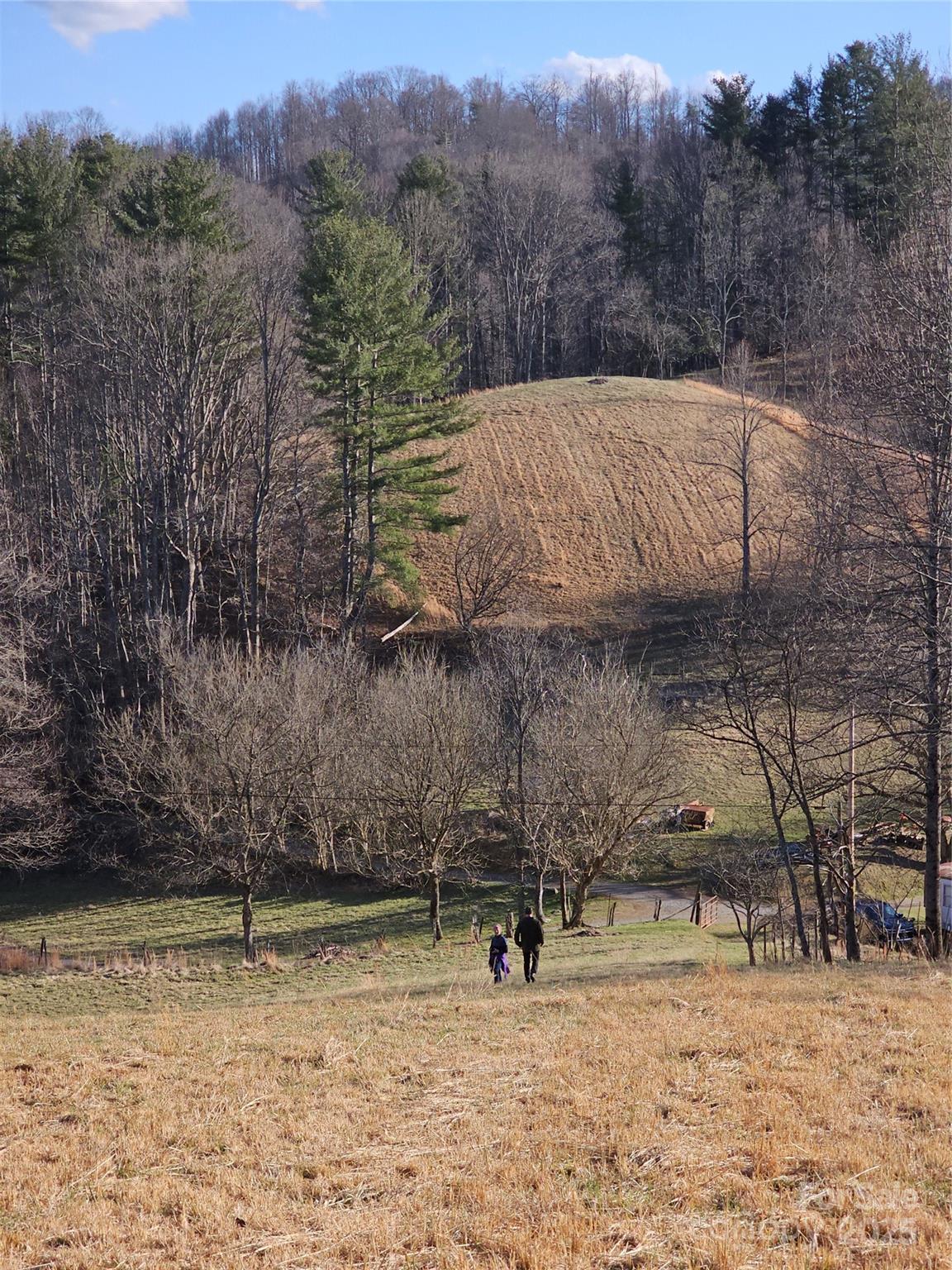 None - Farm