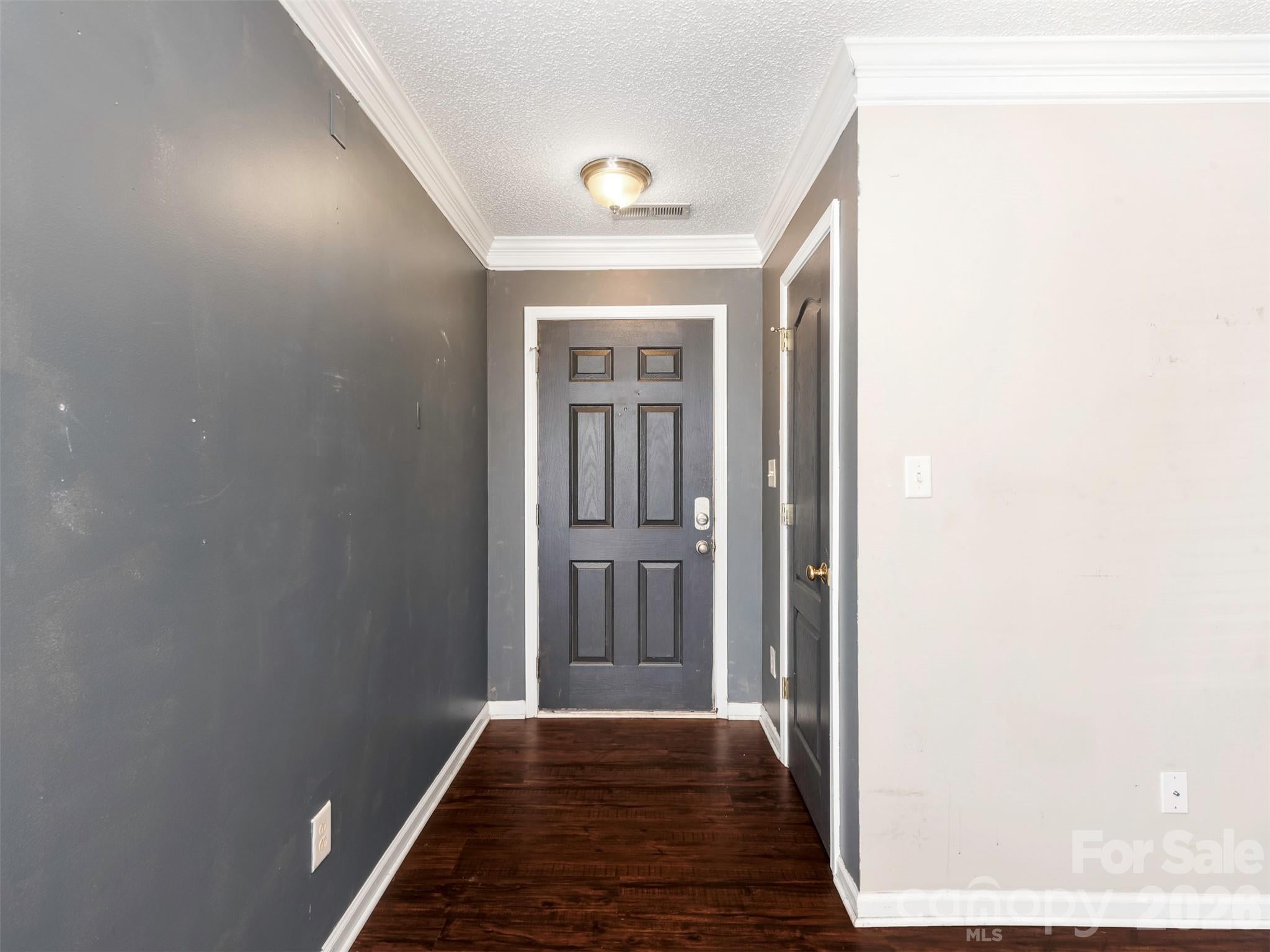 343 Amir Circle