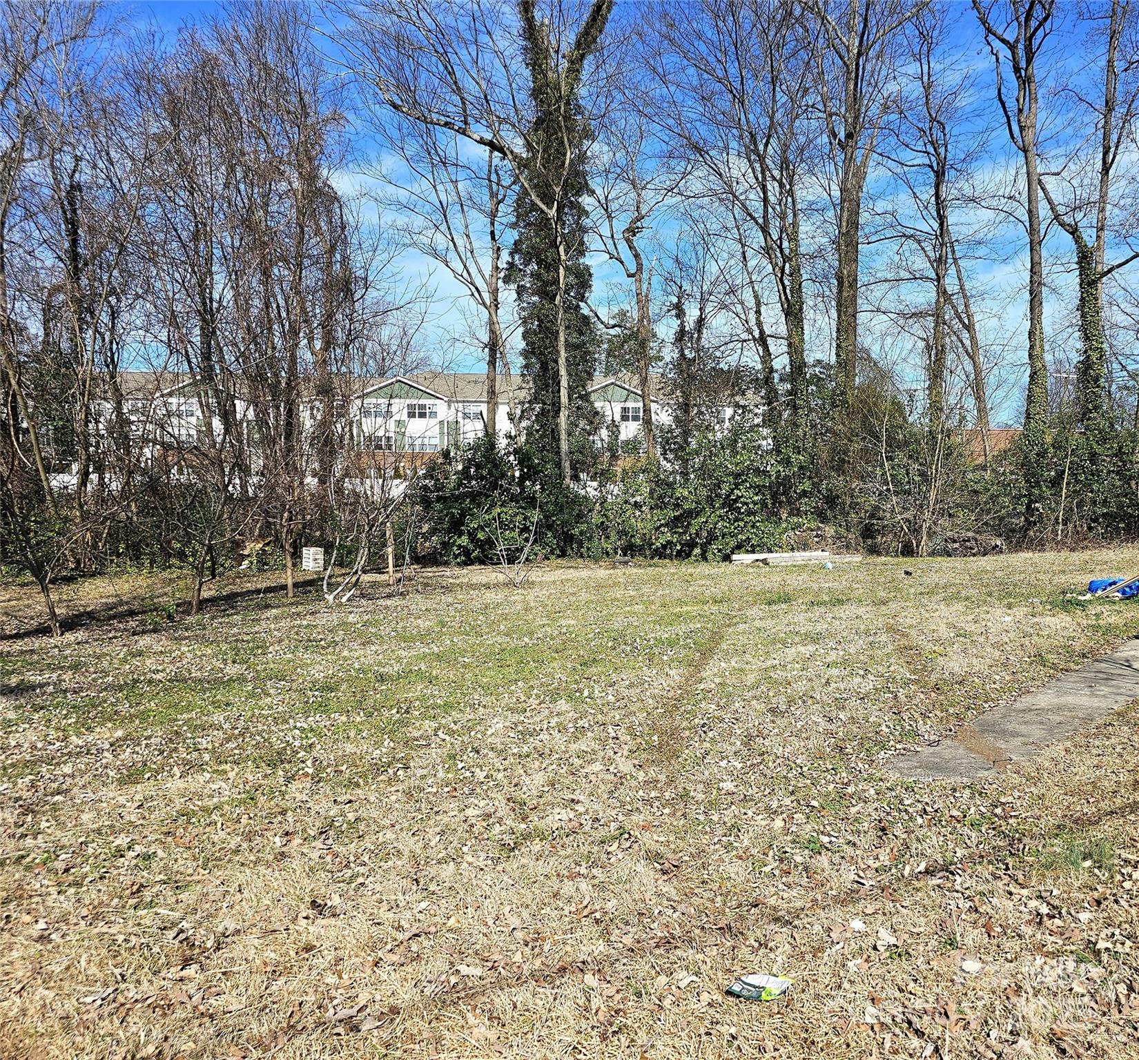 Bingham Park - Residential