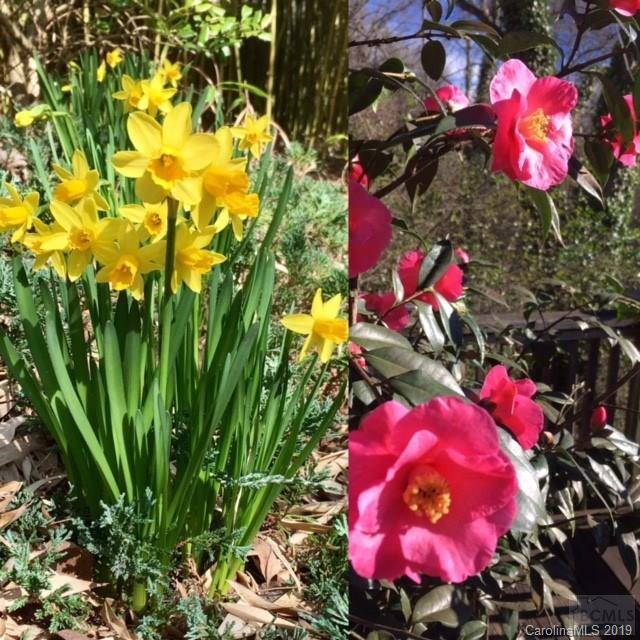 Morganton - Residential