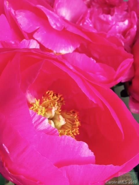 Morganton - Residential