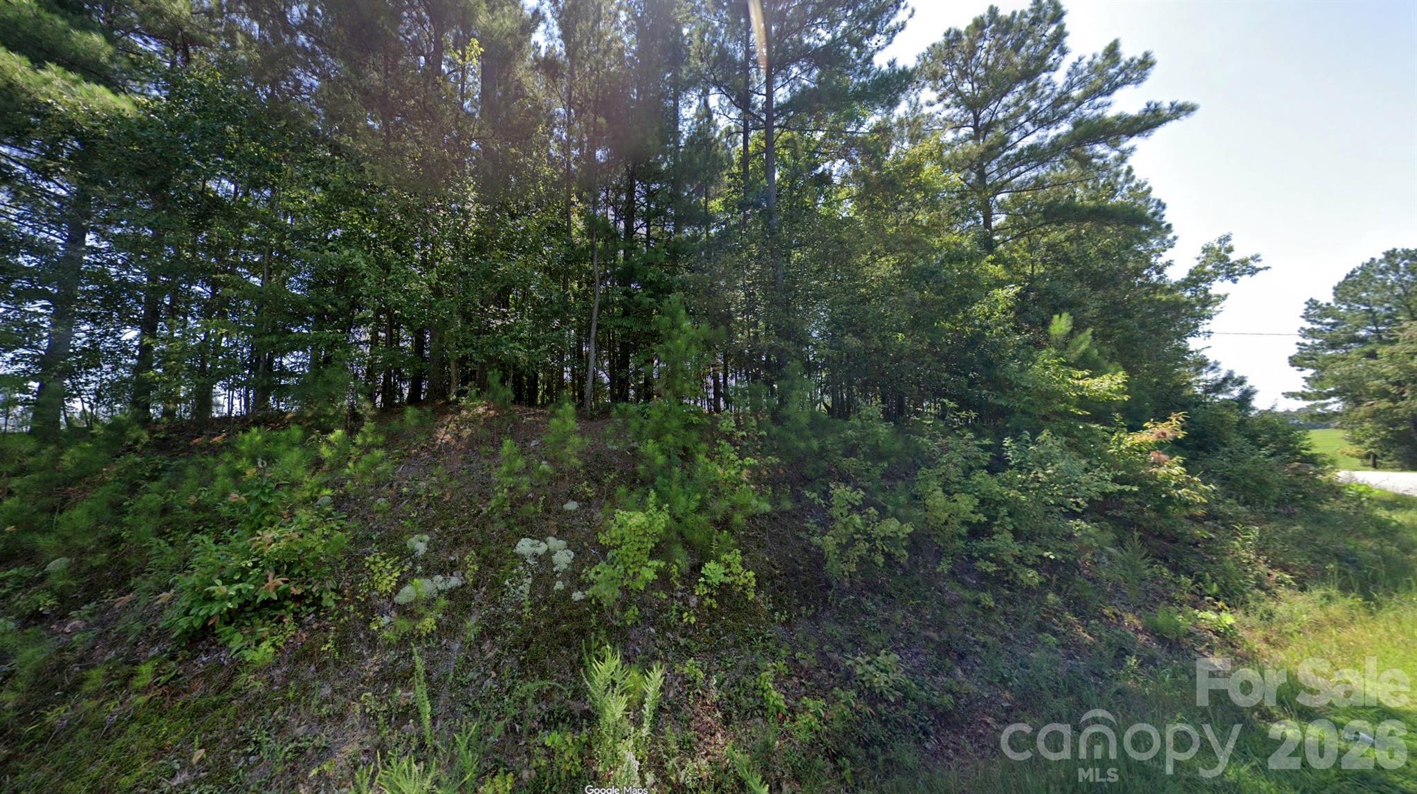 Crystal Falls - Land