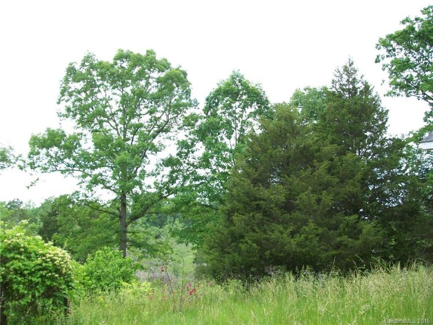 Great 12 acre tract with 30' x 401' garage and paint shop. Old mobile home to be removed by the buyers. Well and septic believed to be in good working order. Lots of road frontage