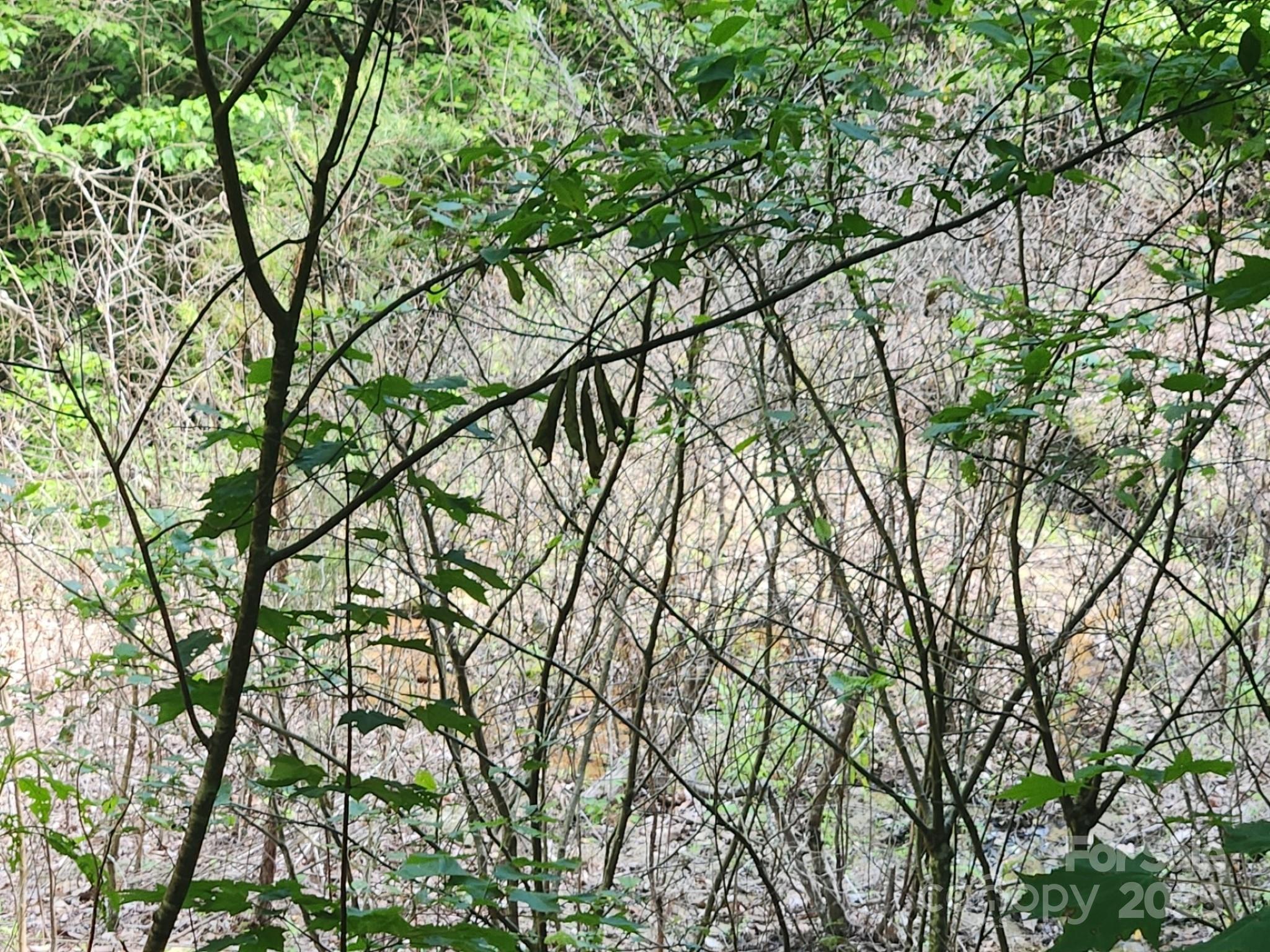 Riverbend Highlands - Land