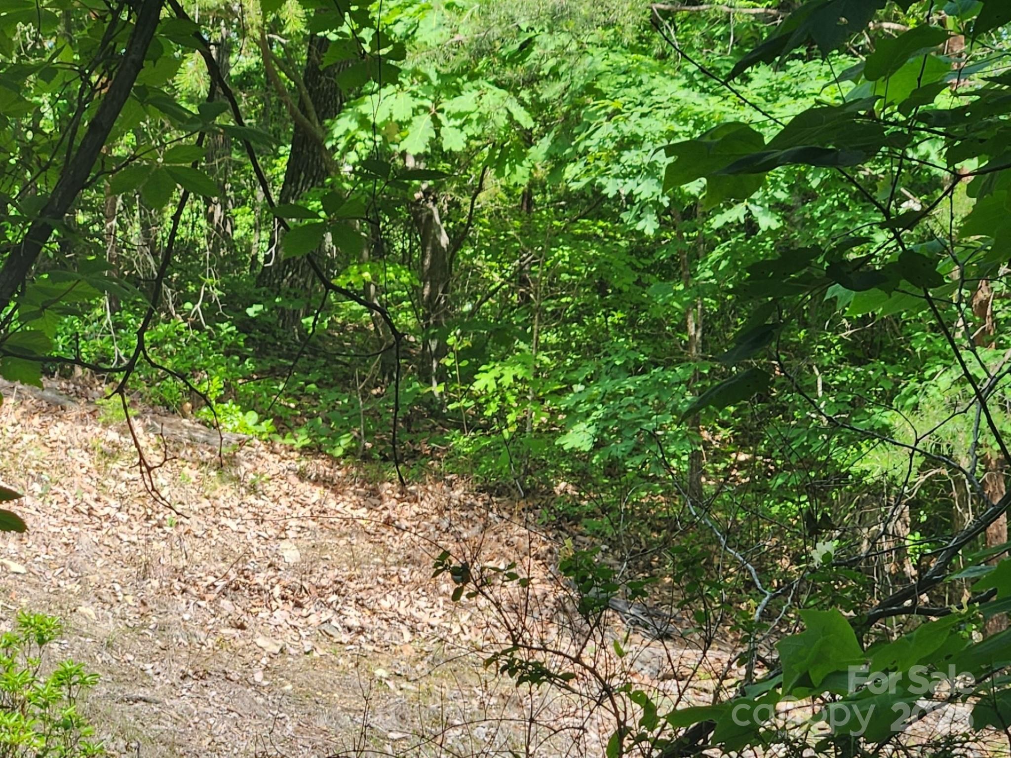 Riverbend Highlands - Land