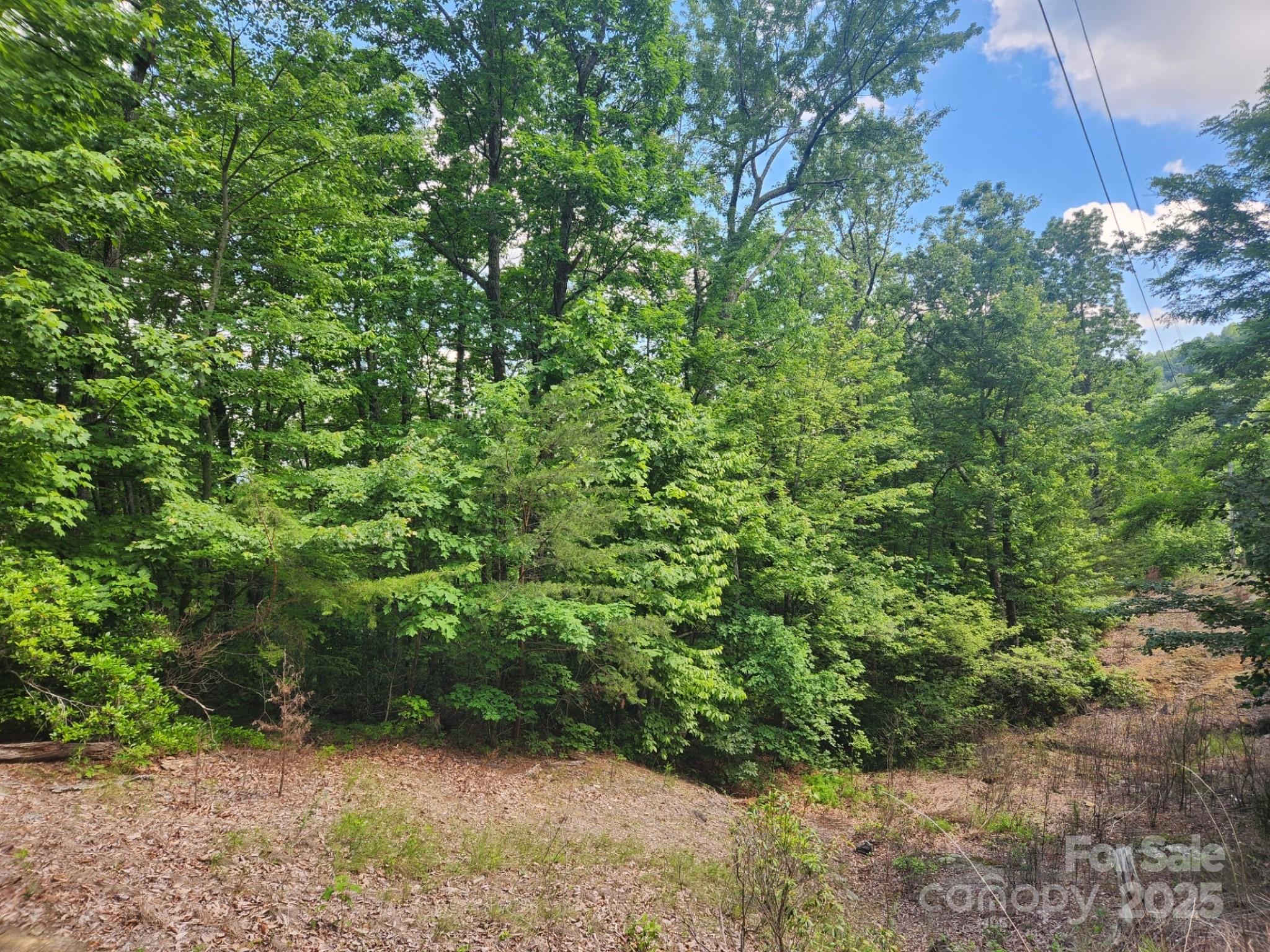 00 Hickory Nut Lane 390