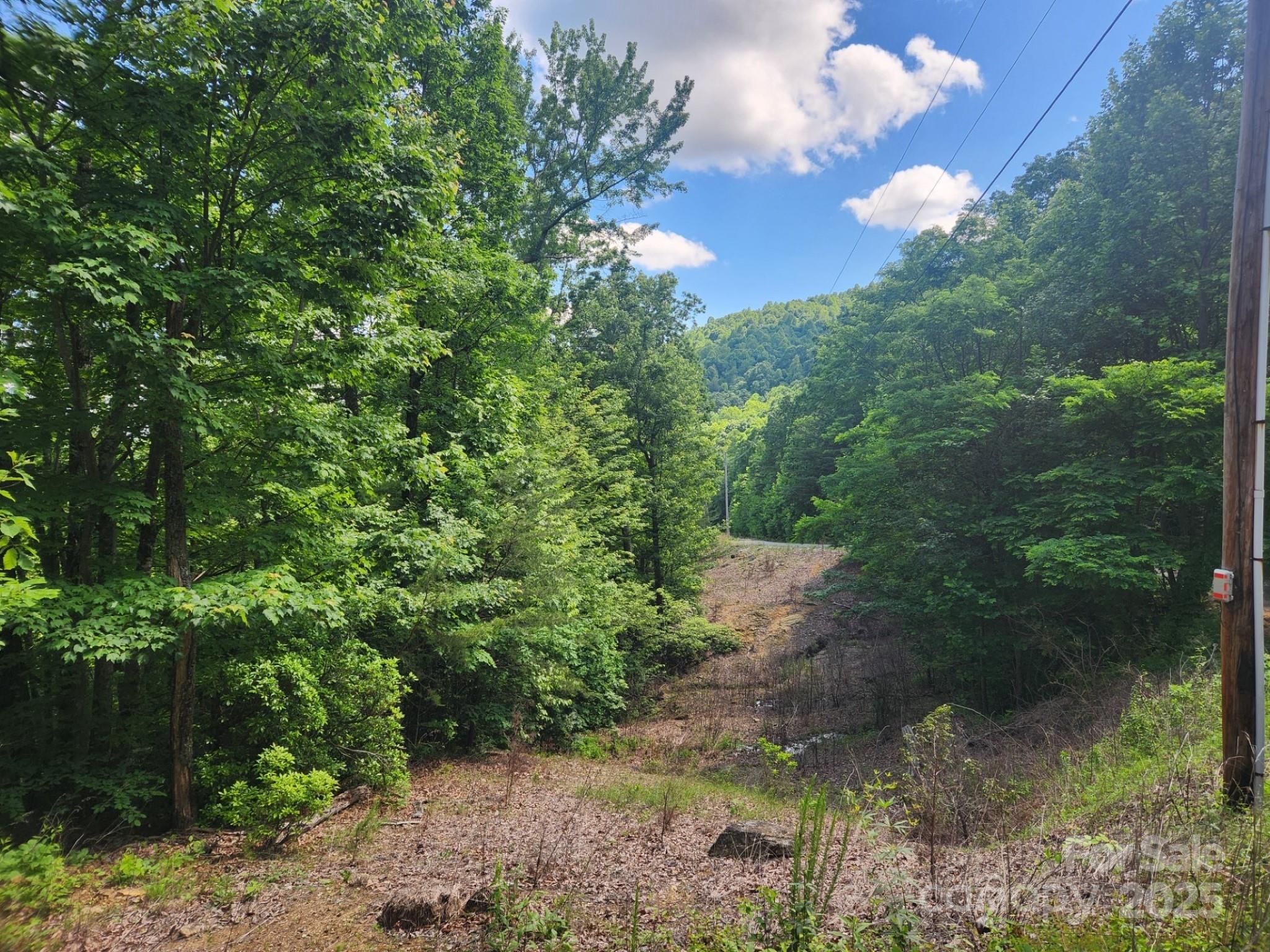 00 Hickory Nut Lane 390