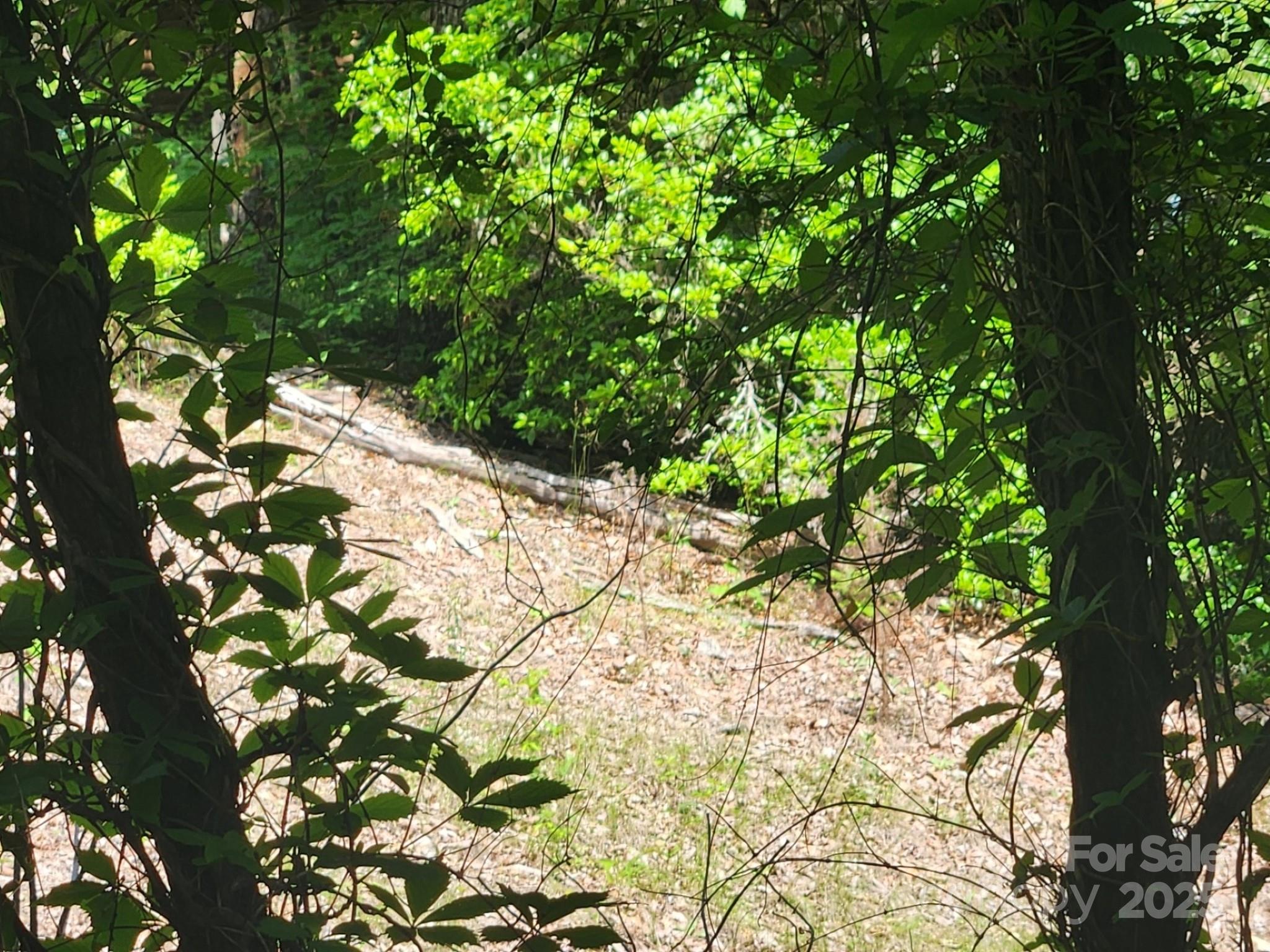 Riverbend Highlands - Land