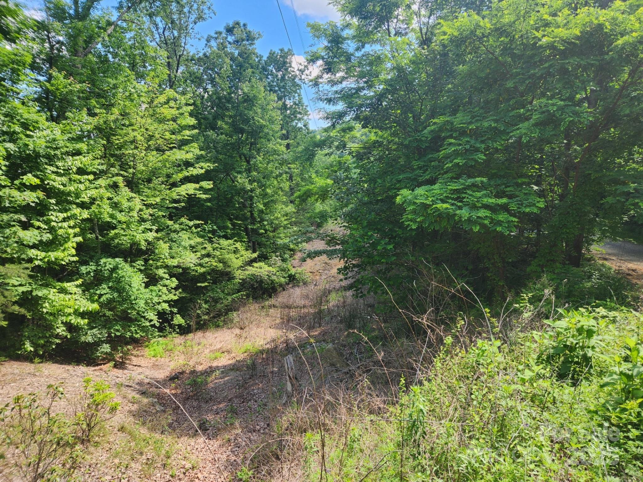 00 Hickory Nut Lane 390