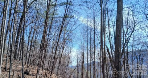 00 Piney Gate Road 39 White Oak NC 28773