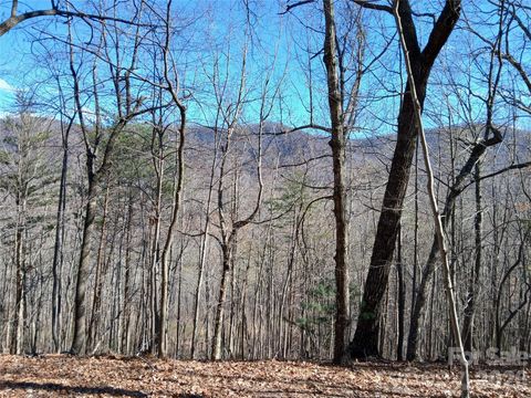 00 Piney Gate Road 39 White Oak NC 28773