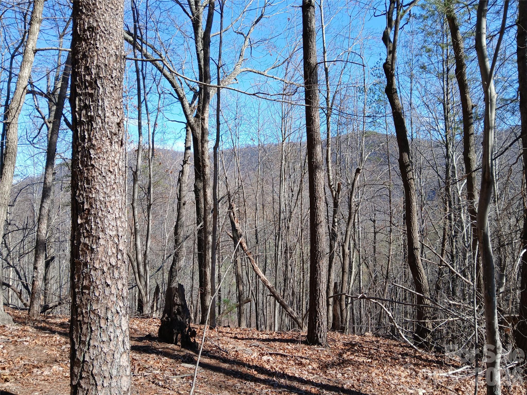 00 Piney Gate Road 39