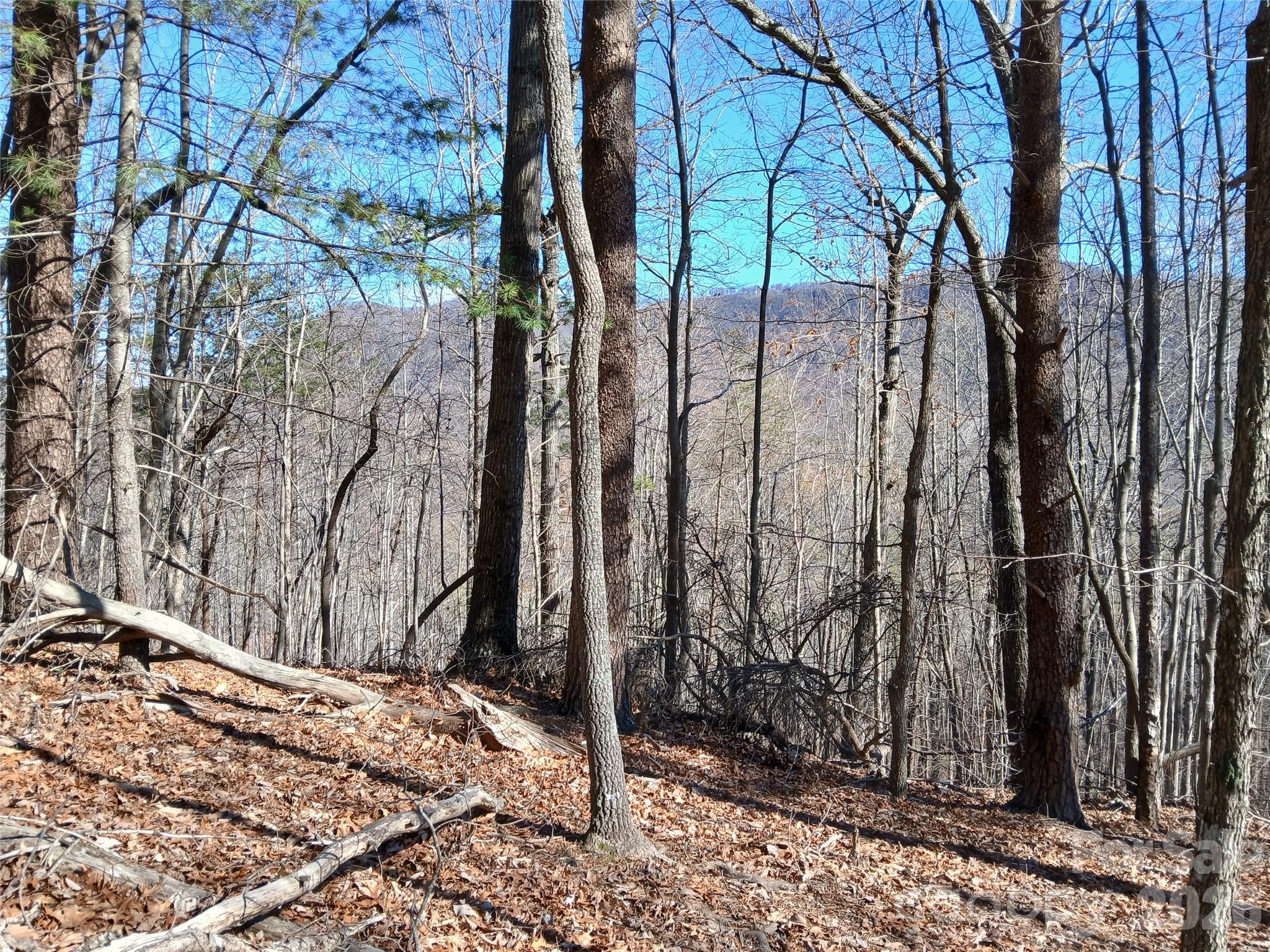 00 Piney Gate Road 39