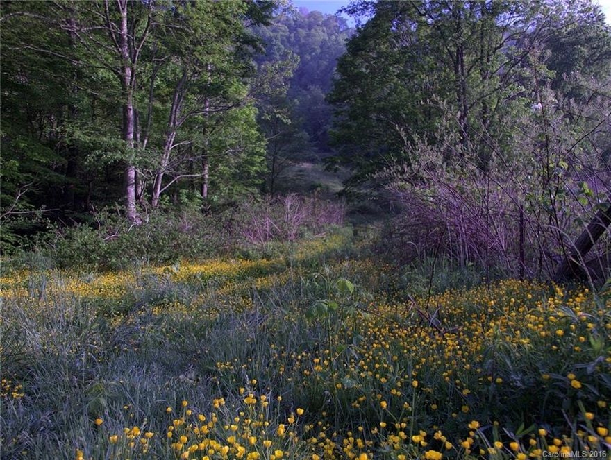 Homestead paradise! Paved access 3+mi N of I-40 but near dead end of road means little passing traffic.  Multiple cleared pastures (about 4 rolling cleared acres total) for poultry or livestock, 2 creeks for fresh water, and several amazing building sites.  Northern back of property is the wooded ridge-line with plenty of forest resources, southern runs along a creek that fills the air with the peaceful sounds of water. Incredible opportunity to build your dreams. Listed $20K+ below tax value!