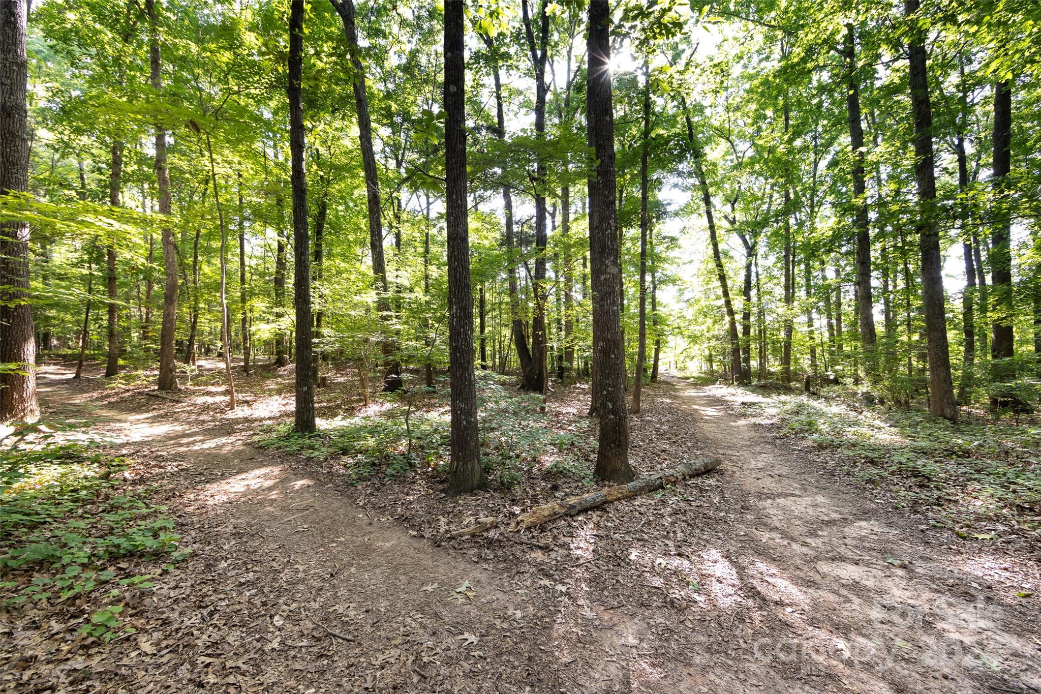 Hearthstone - Residential