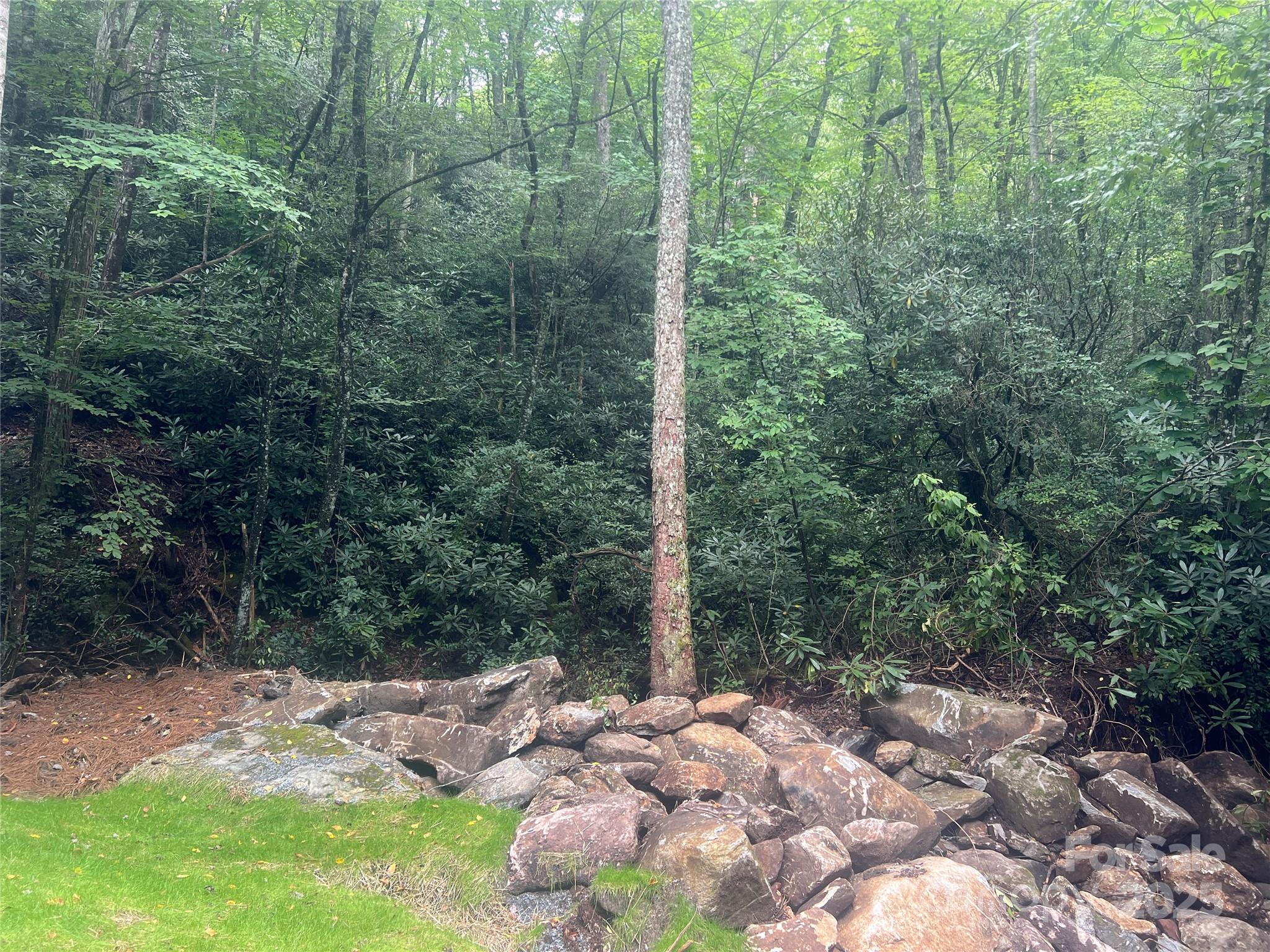Lake Toxaway Estates - Land