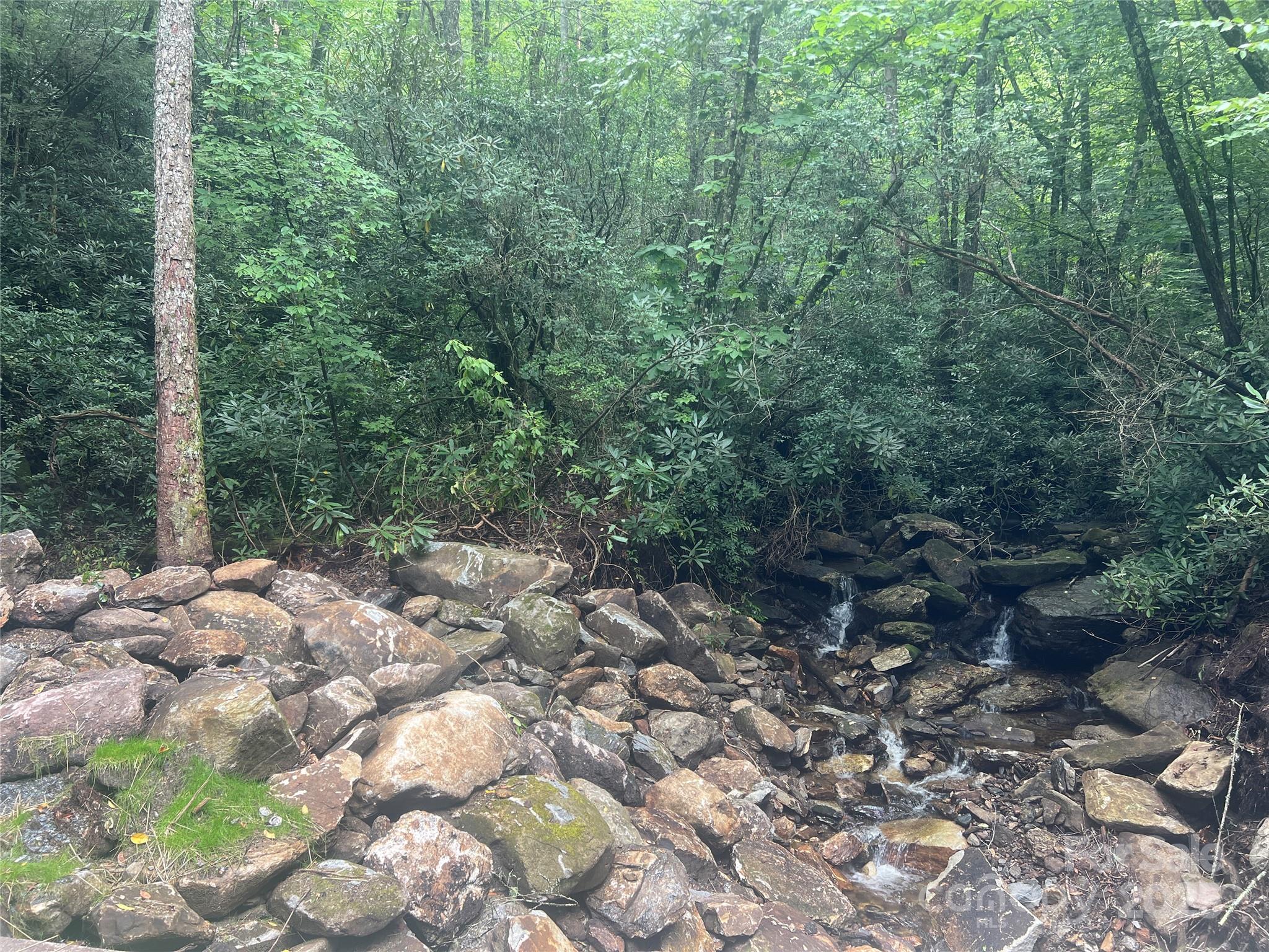 Lake Toxaway Estates - Land