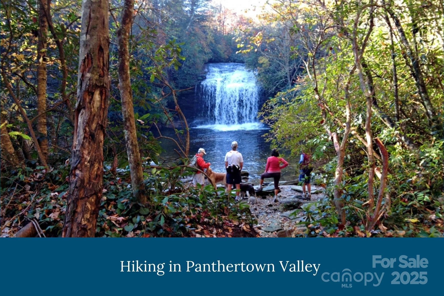 Lake Toxaway Estates - Land