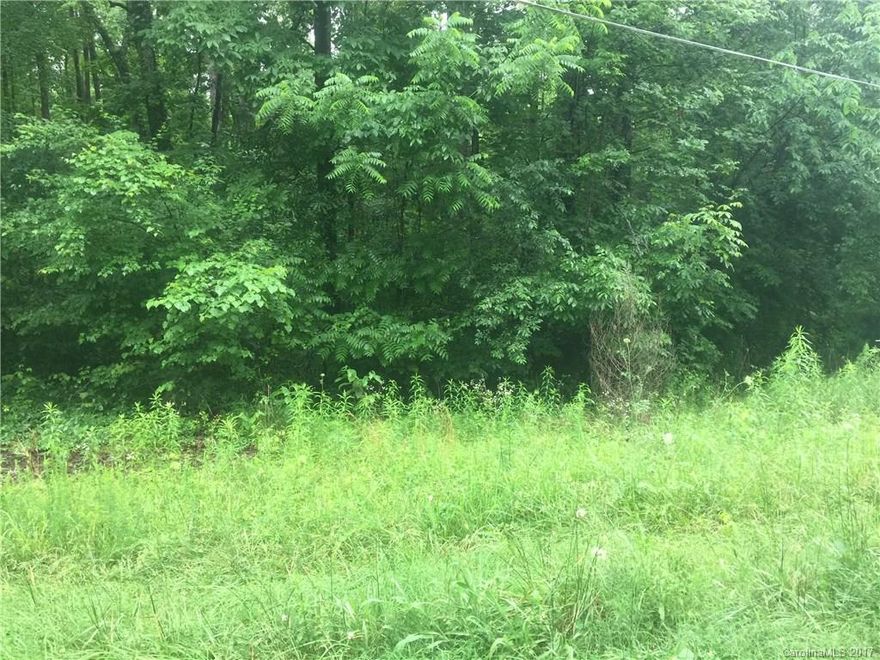 Large 2 acres lot priced well below tax value. Slightly over two acres. Nestle in a nice little neighborhood at the end of the road. There is not a survey and the sellers have not inquired whether the lot will perk or not. No know restrictions. The gate is the entrance of the natural preserve thus the outside boundary of the lot.