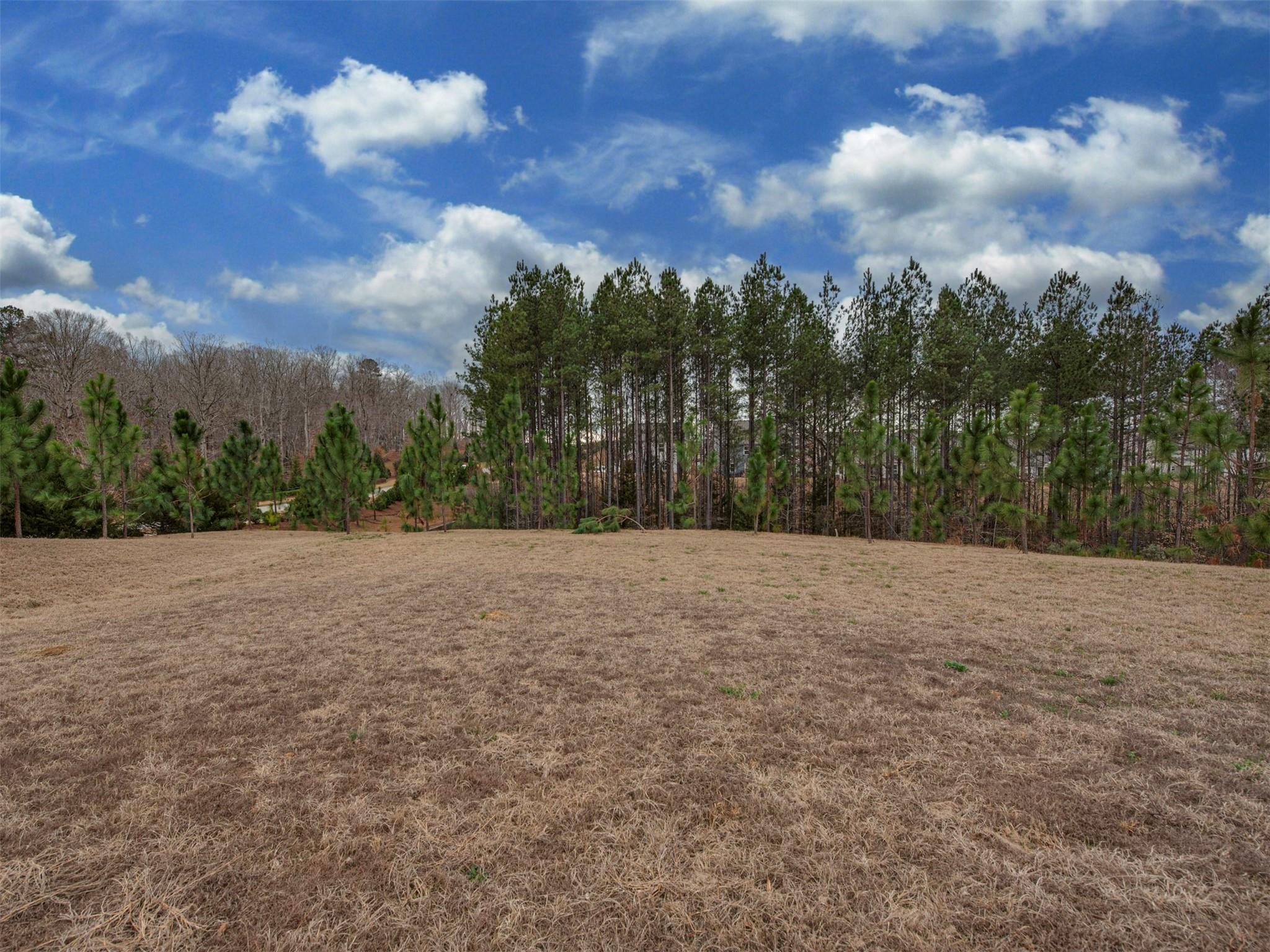 Walnut Creek - Residential