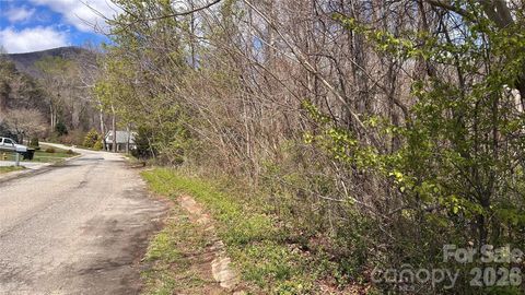 0 Lynnbrook Way Columbus NC 28722