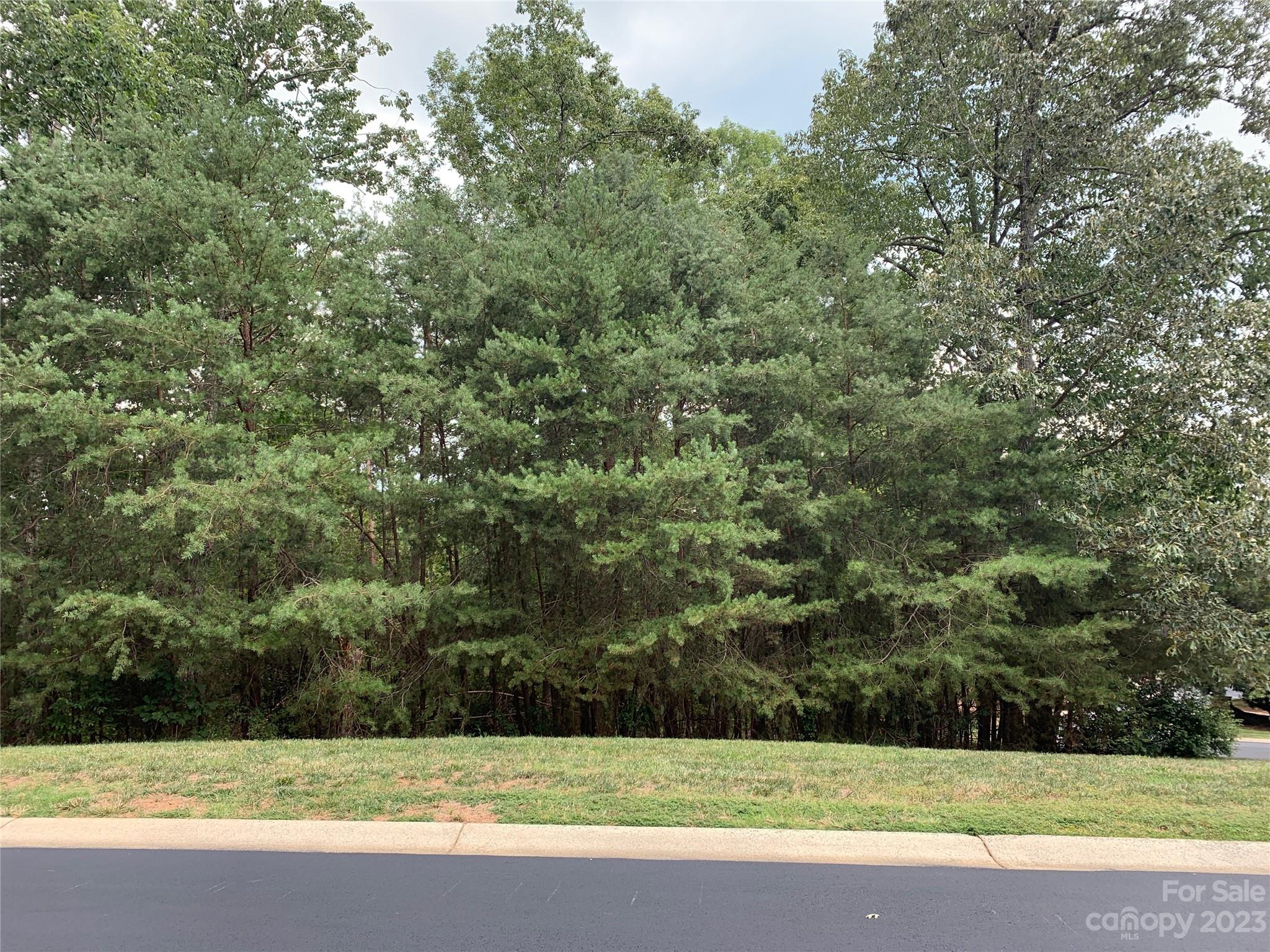 Uwharrie Point - Land
