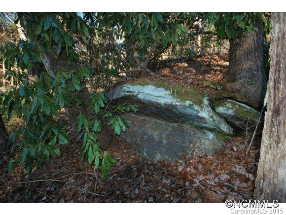 Stone`s Lake - Land
