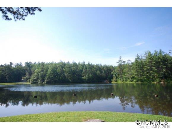 Stone`s Lake - Land