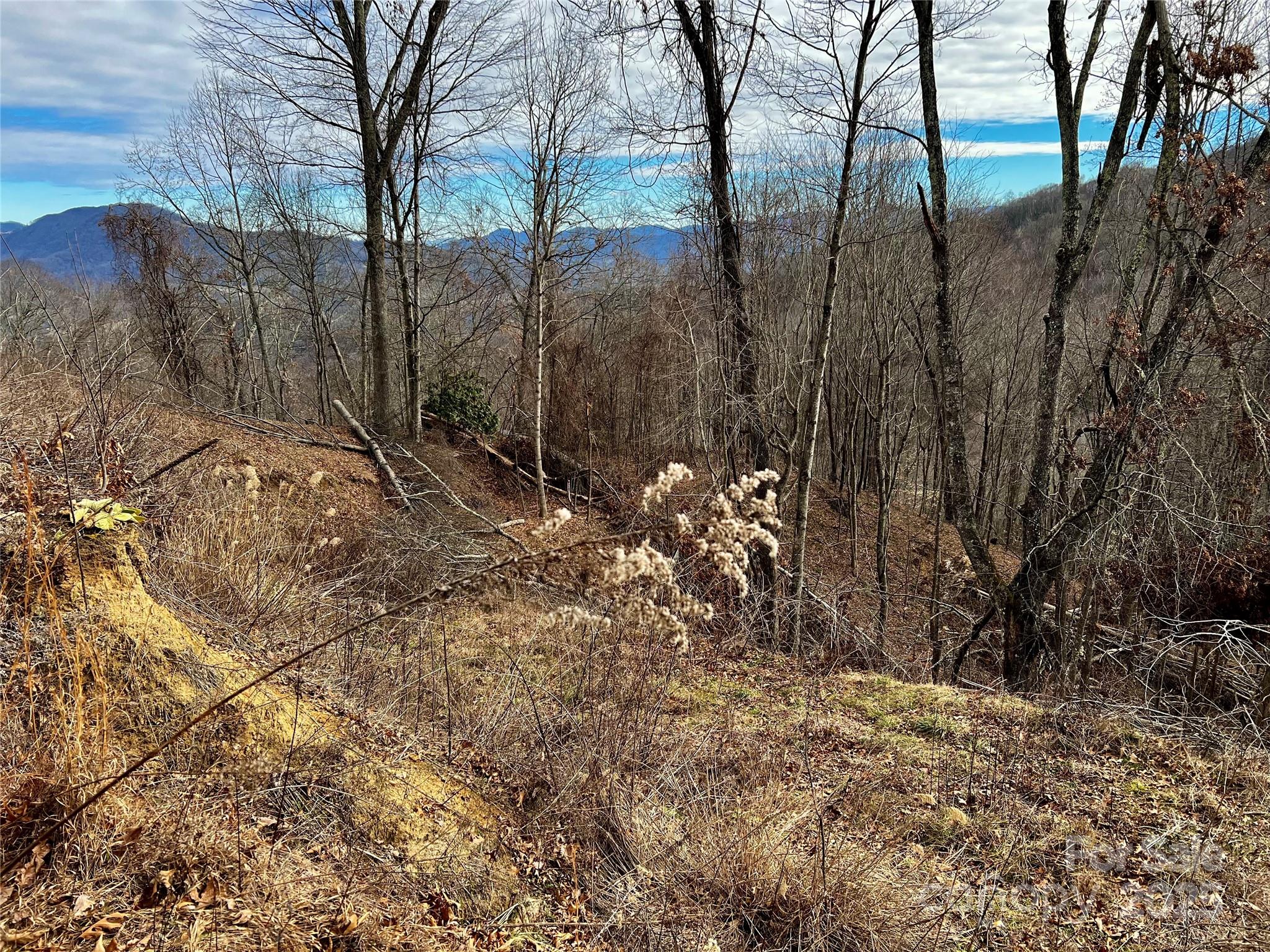 Utah Mountain Estates - Land