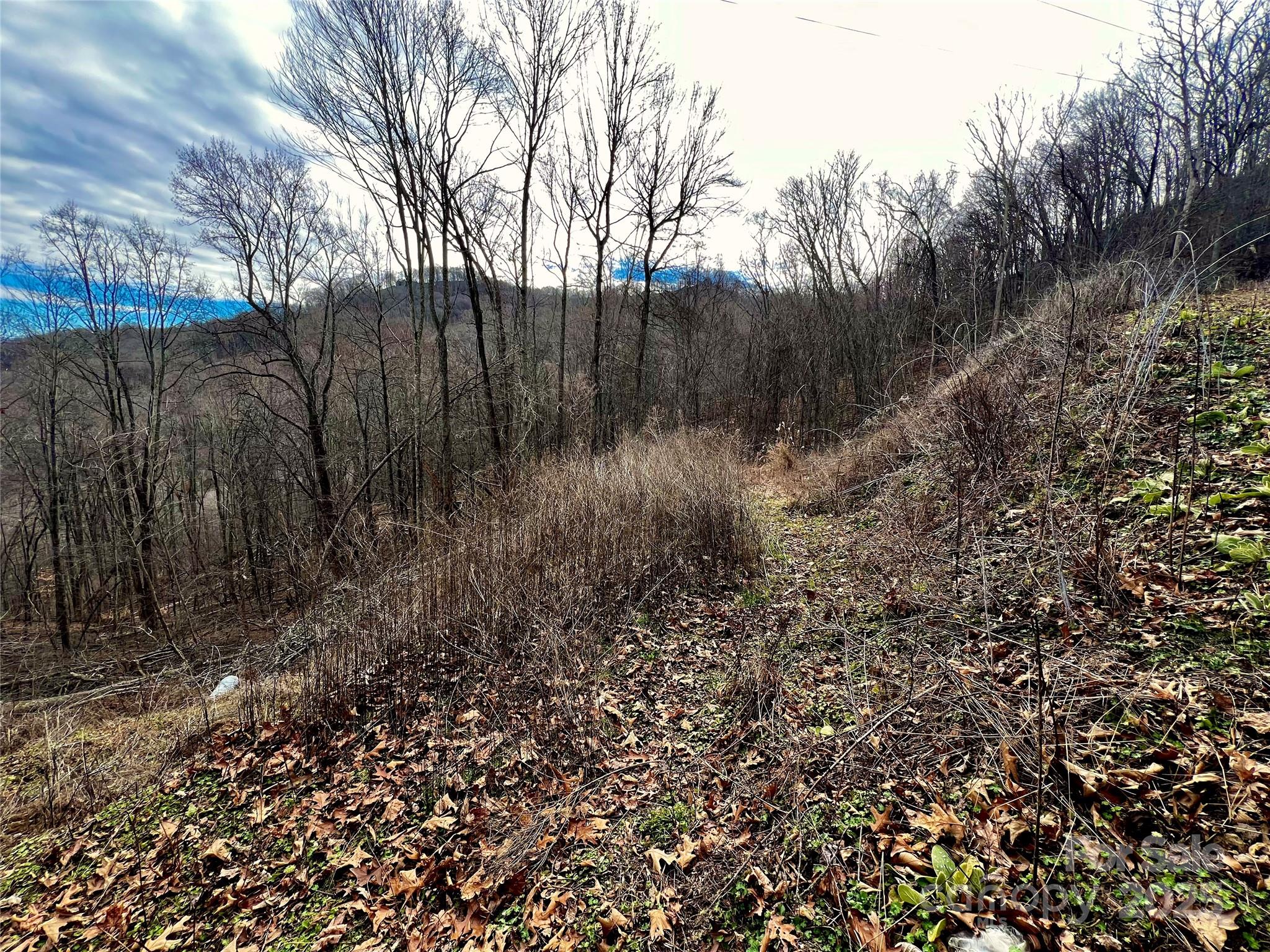 Utah Mountain Estates - Land