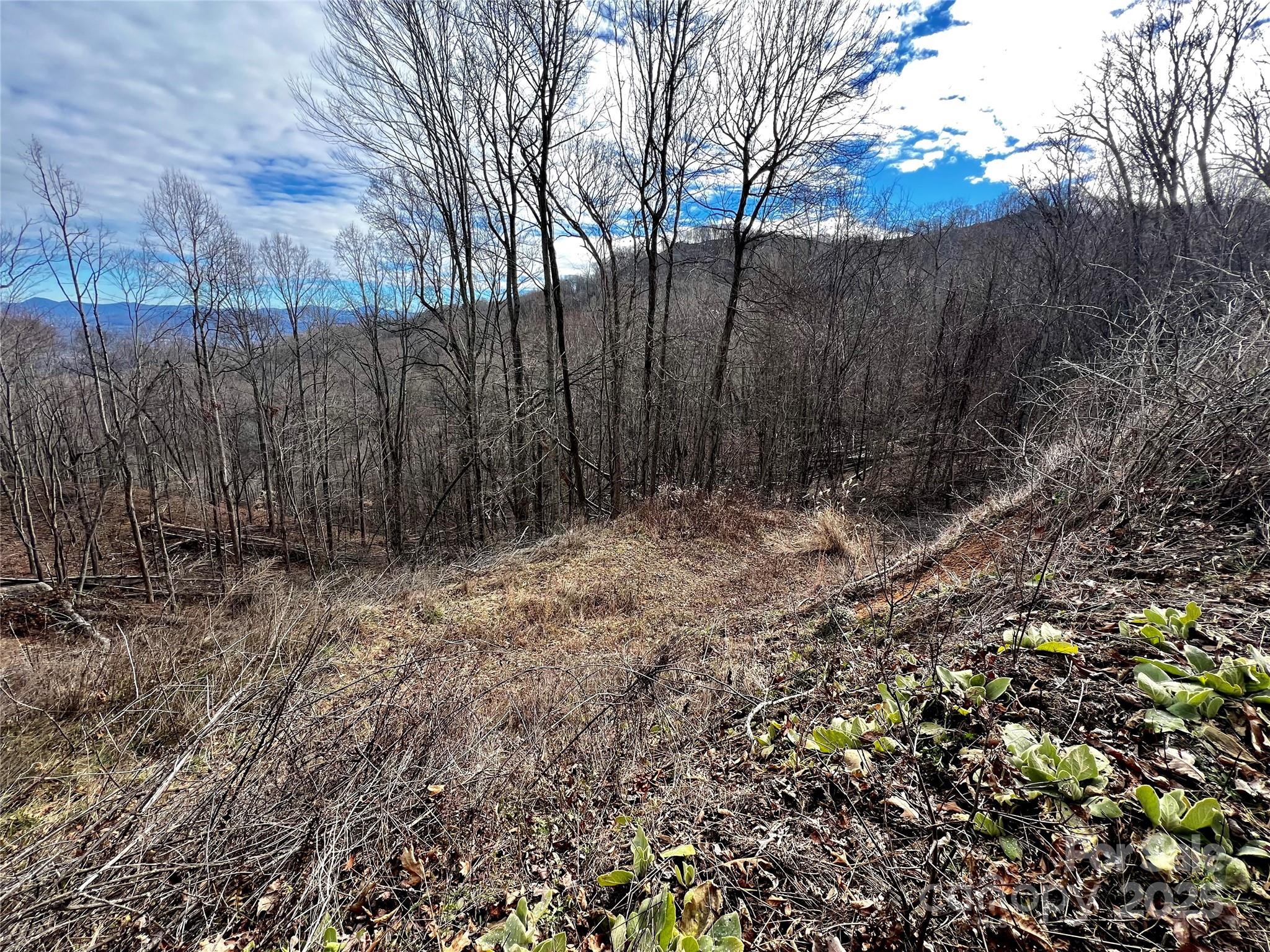 Utah Mountain Estates - Land