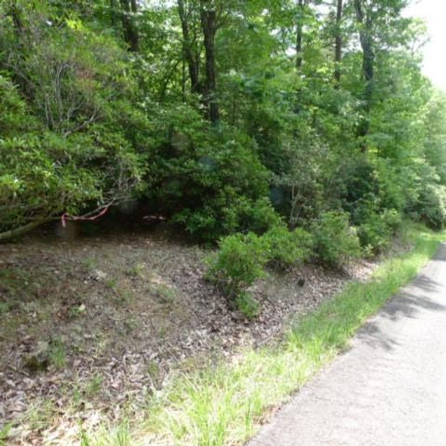 Sloping wooded lot in a private gated community. Also known as FBI Mountain, this community was developed as a vacation retreat for FBI agents. Site built homes only per restrictions. Address TBD.
