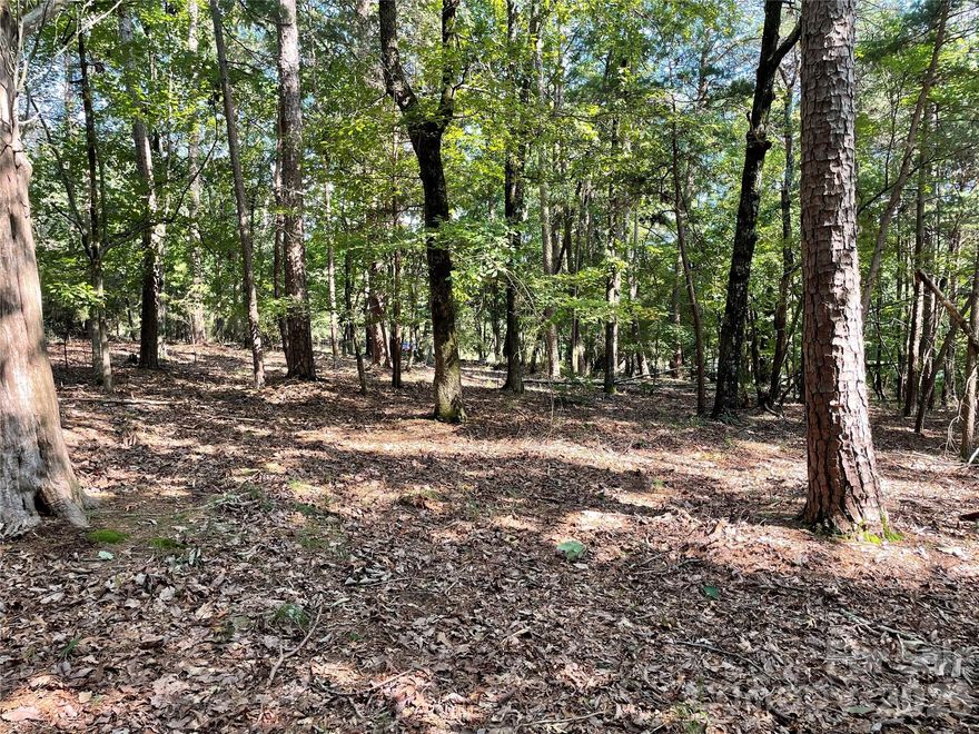 Discover the perfect setting for your custom lake home in the highly desirable gated community of Heron Bay. This beautiful level lot offers an ideal foundation for builders and buyers ready to create a full-time residence or weekend getaway near the shores of Badin Lake. A current 3-bedroom septic permit is already in place, helping streamline your building plans and saving valuable time in the construction process. The community requires site-built homes only, ensuring long-term quality, value, and architectural consistency throughout the neighborhood. Residents enjoy the privacy and security of a gated community along with access to community amenities, including a clubhouse, boat ramp, boat storage, and boat slips available for lease through the HOA at the community docks — making lake days easy and convenient. Enjoy peaceful lake living while staying conveniently connected about an hour from Charlotte and Greensboro. Outdoor enthusiasts will love the endless recreation opportunities surrounding Badin Lake, including boating, fishing, kayaking, hiking, and golf. Nearby attractions include Morrow Mountain State Park, Uwharrie National Forest, Badin Lake Recreation Area, Championship golf courses, and nearby local wineries. Whether you're looking to build now or invest for the future, this exceptional homesite in Heron Bay offers the rare combination of lake lifestyle, privacy, convenience, and build-ready potential.