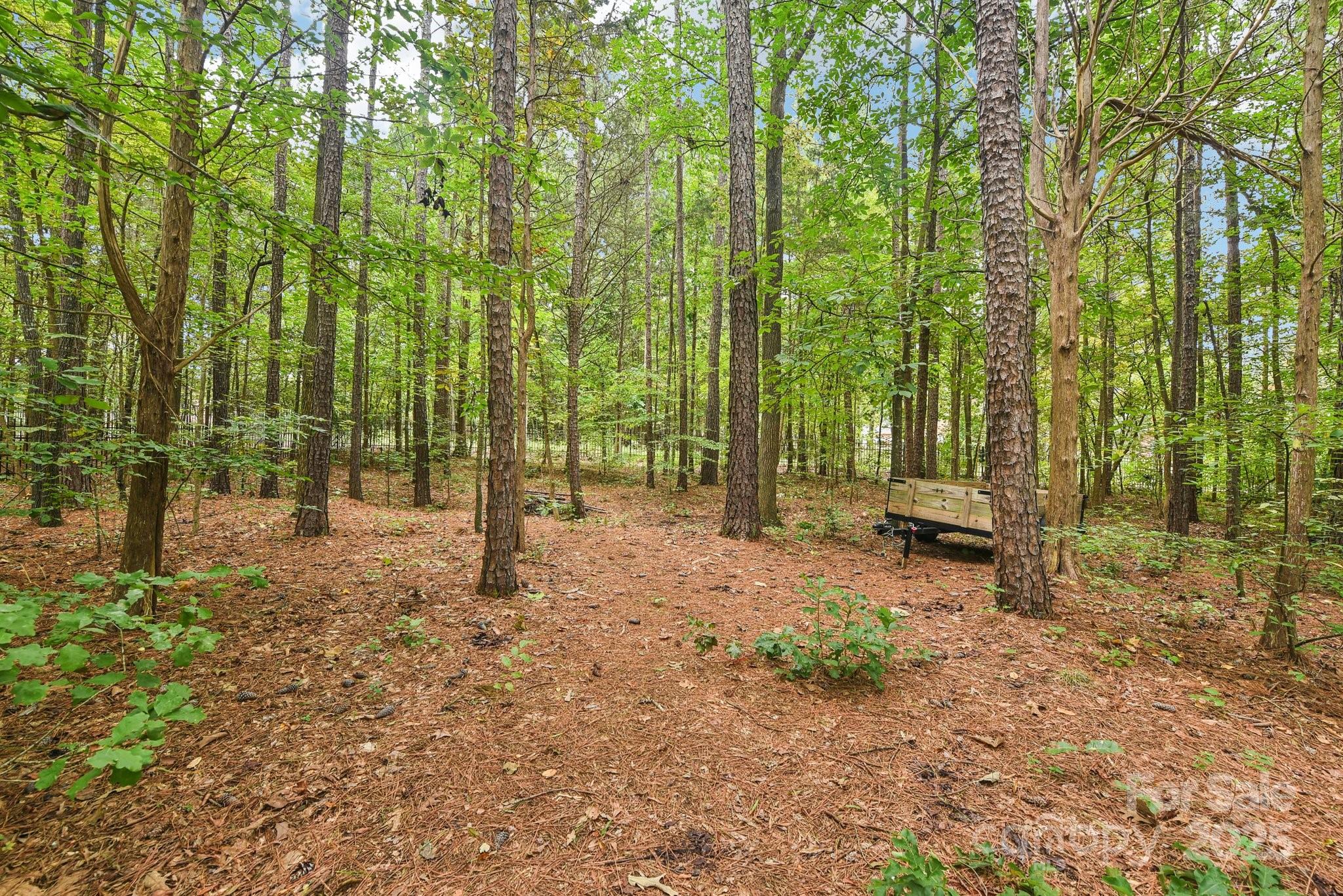 Highgate - Residential