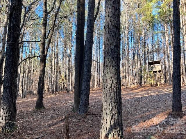 Chestnut Ridge - Residential