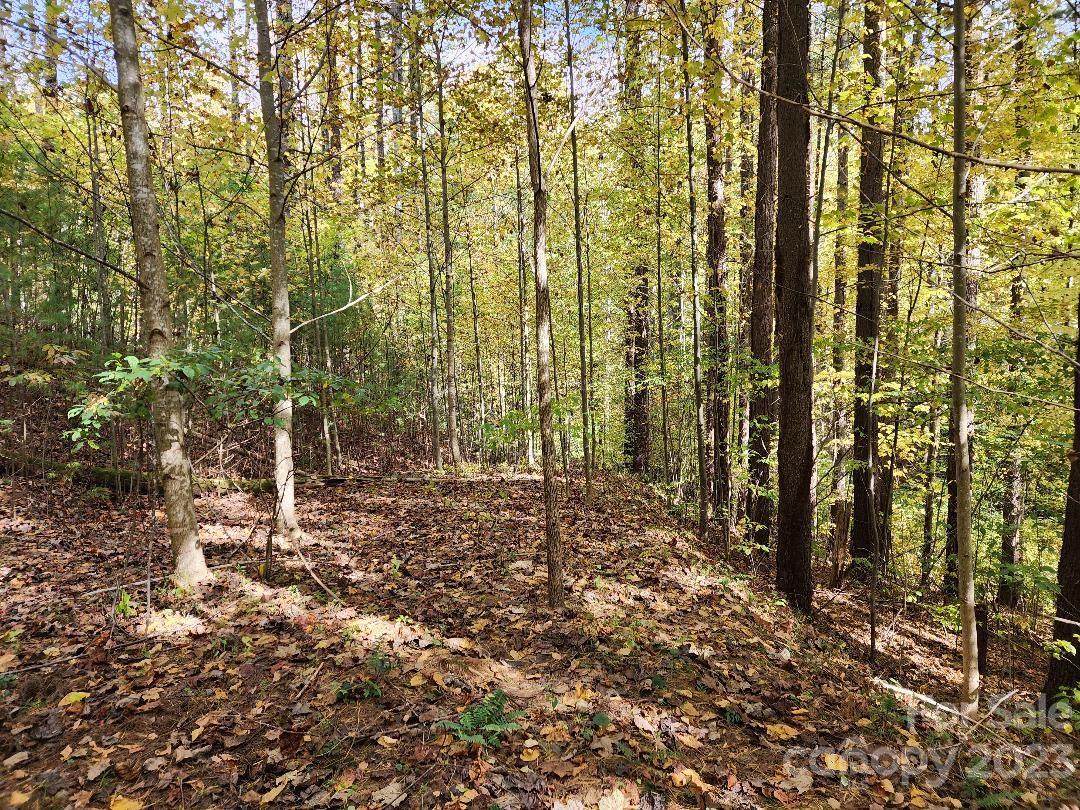 Chestnut Hill Estates - Land